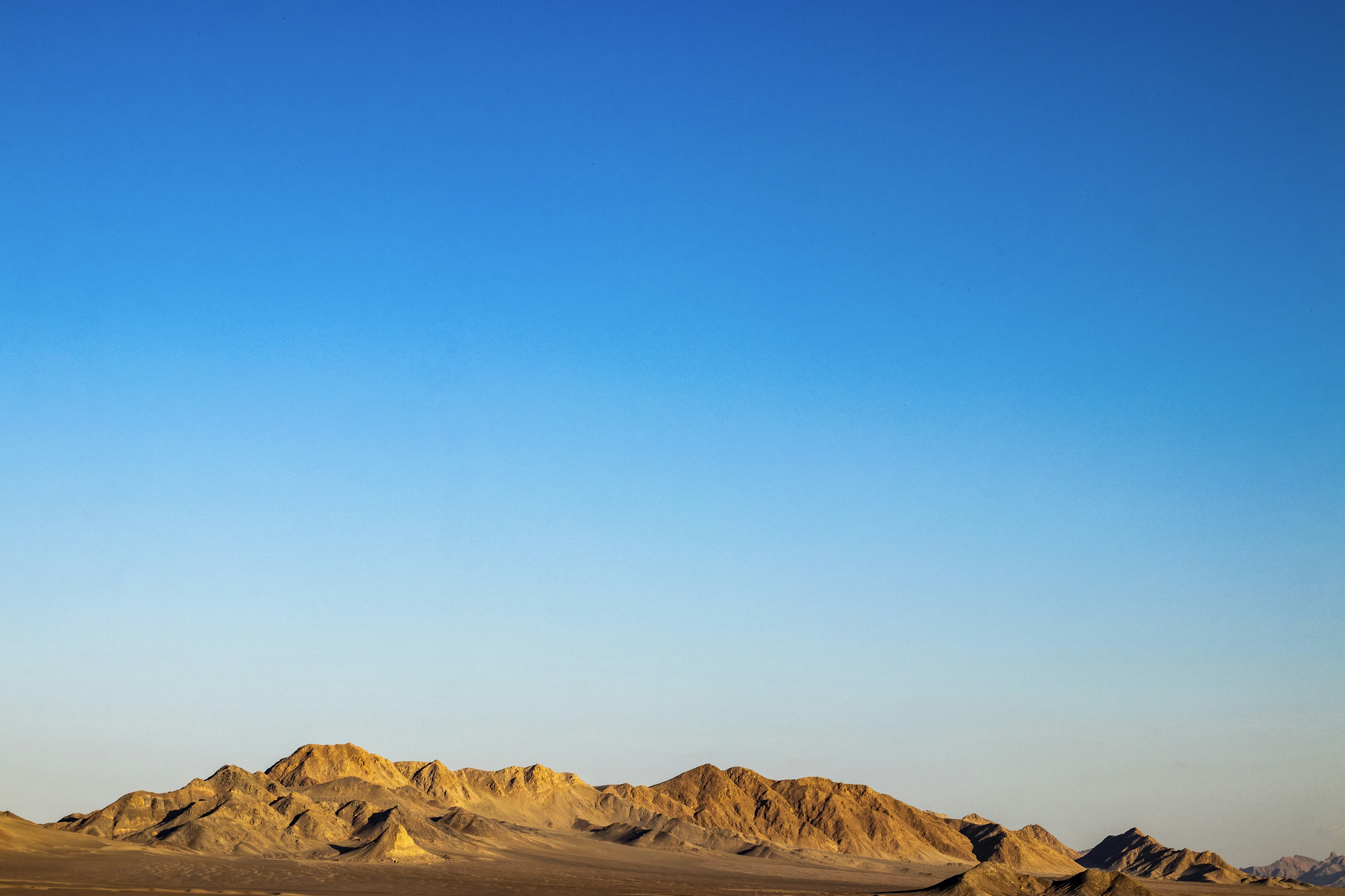 Photo by ahmadreza7shot