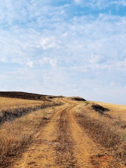 grass field near road