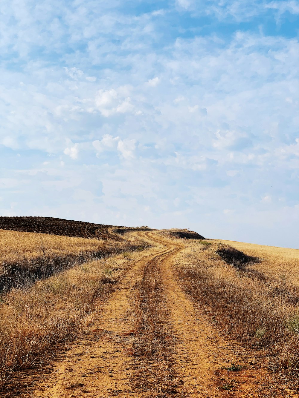 grass field near road