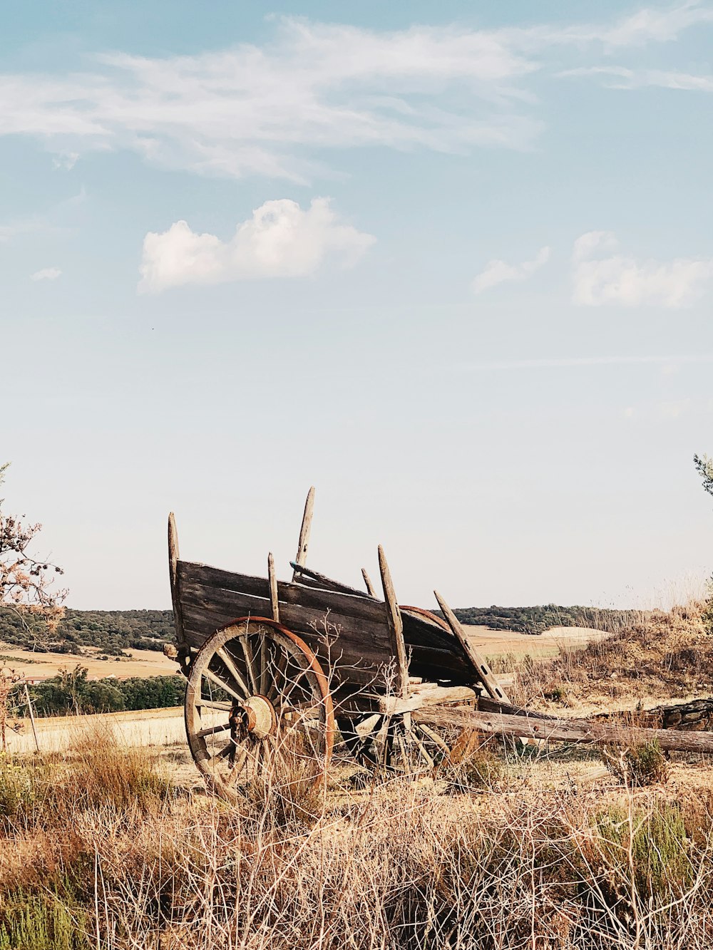 brown wooden cart during daytime