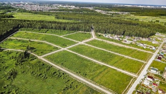 An aerial view of a green landscape featuring a grid of open grassy plots, surrounded by forested areas. Several residential houses are situated near the edges of the plots, with a larger urban area visible in the distance. The scene includes roads dividing the plots and leading into the wooded regions.