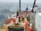 people fishing in boat during daytime