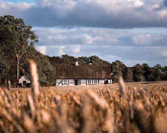 A quaint house with a dark, gabled roof stands in the middle of a field of golden wheat. Large trees and dense greenery surround the property. The sky above is partly cloudy, casting a calm and serene ambiance over the scene. The foreground is dominated by out-of-focus wheat stalks, while the background is in sharp focus.