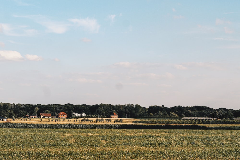 green field during daytime