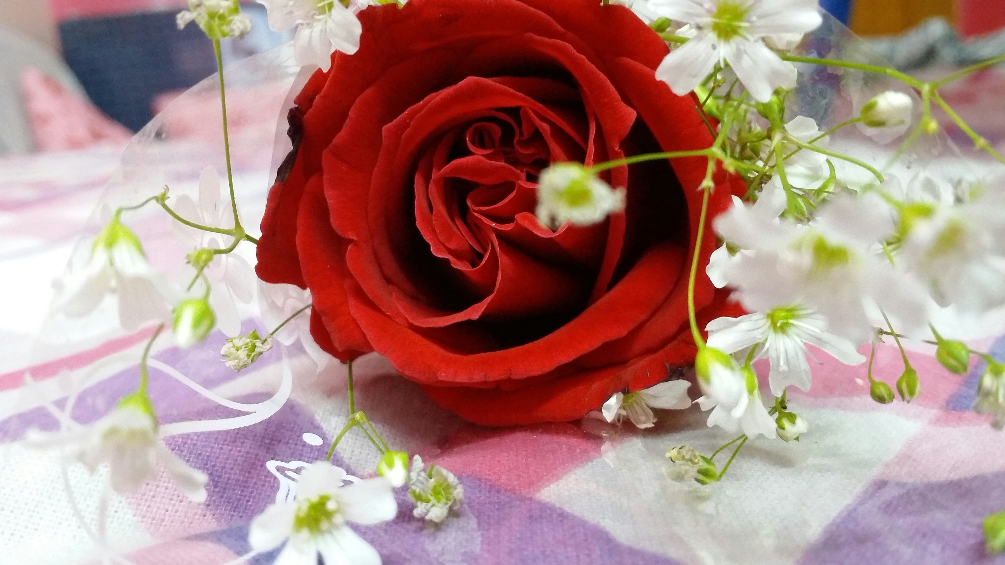 Photo by tanushreemajumder