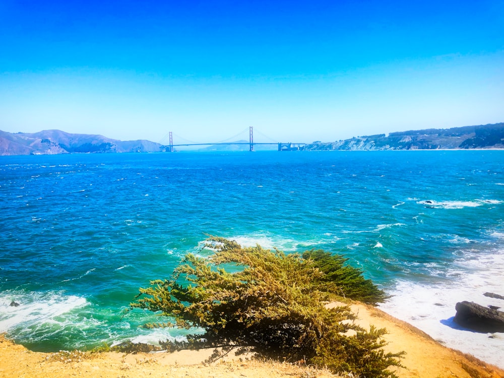 Golden Gate Bridge über die Bucht unter strahlend blauem Himmel