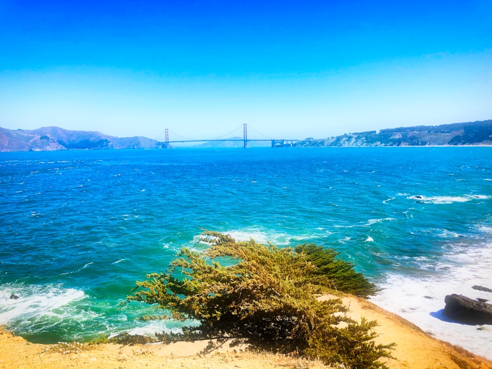 Golden Gate bridge seen across the bay under clear blue sky