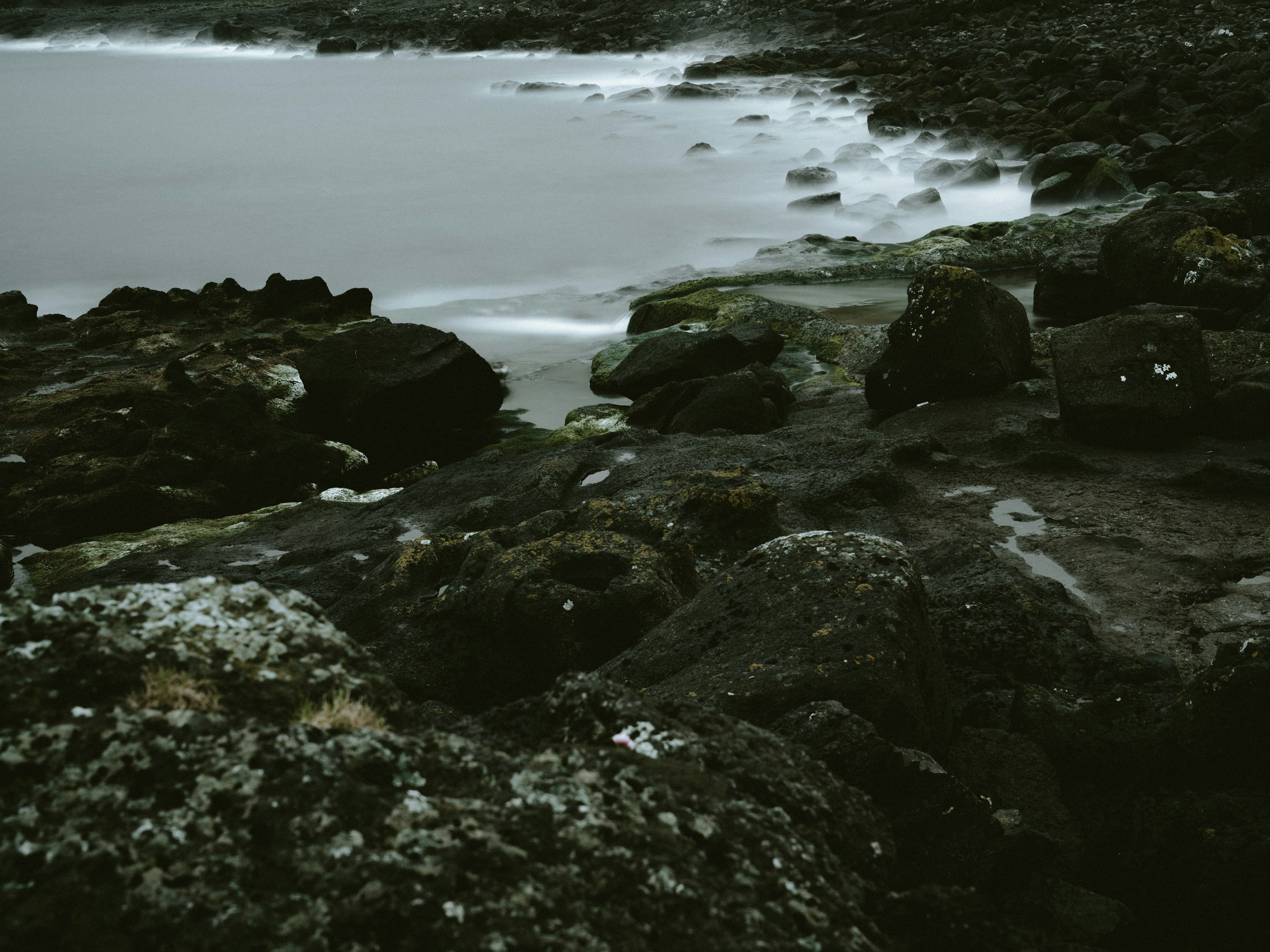 Photo by anniespratt