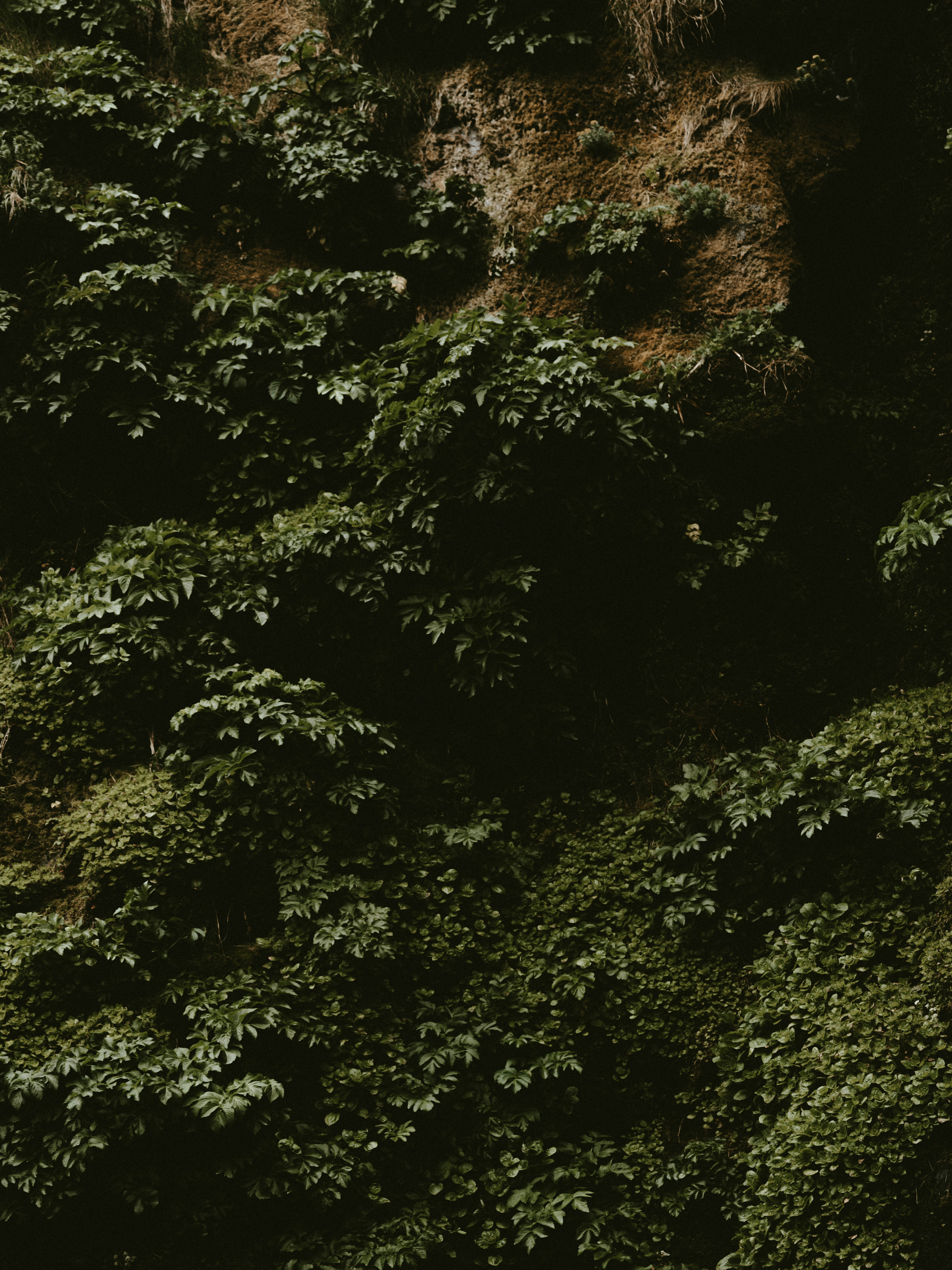 Photo by anniespratt