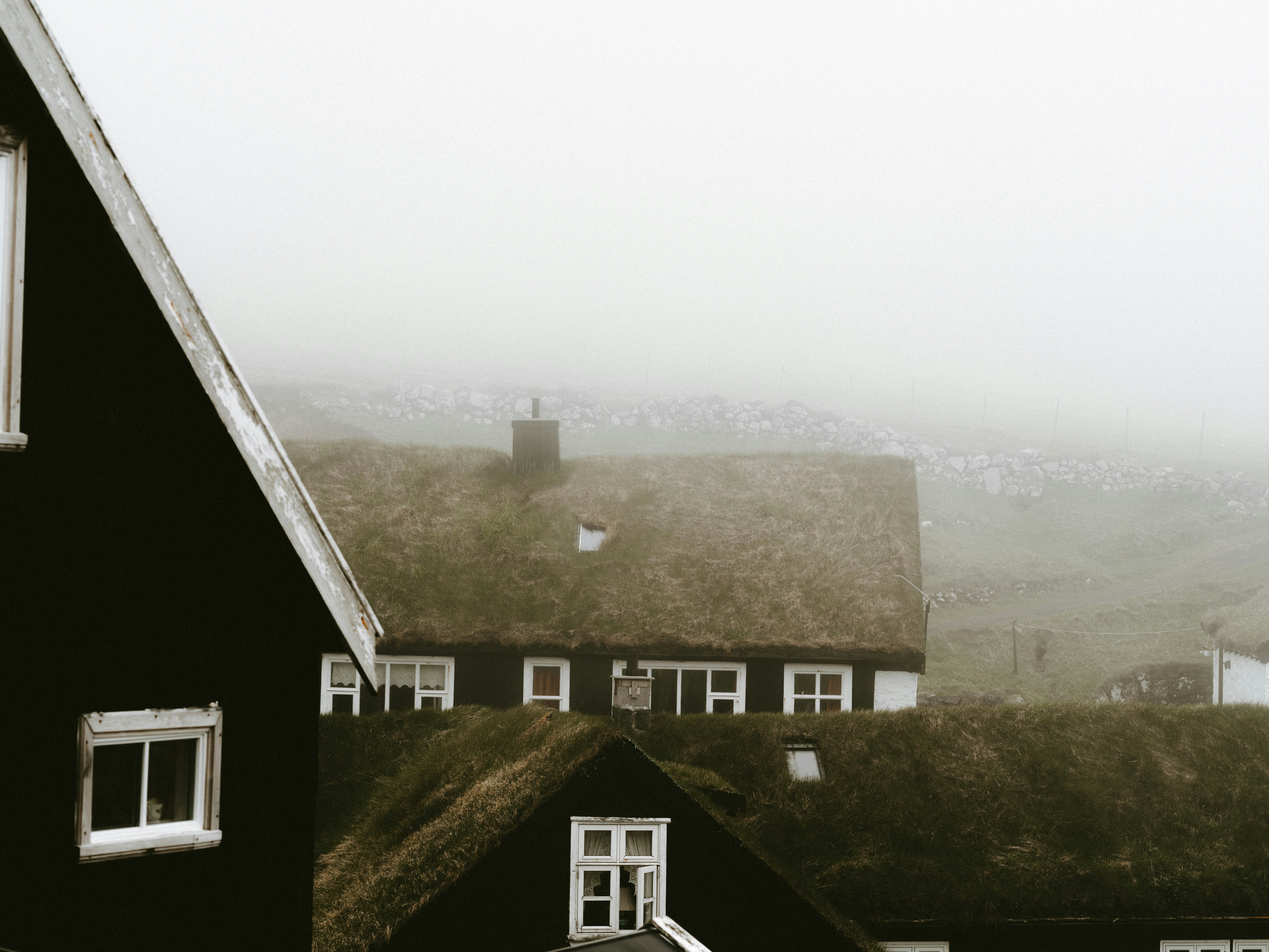 Photo by anniespratt