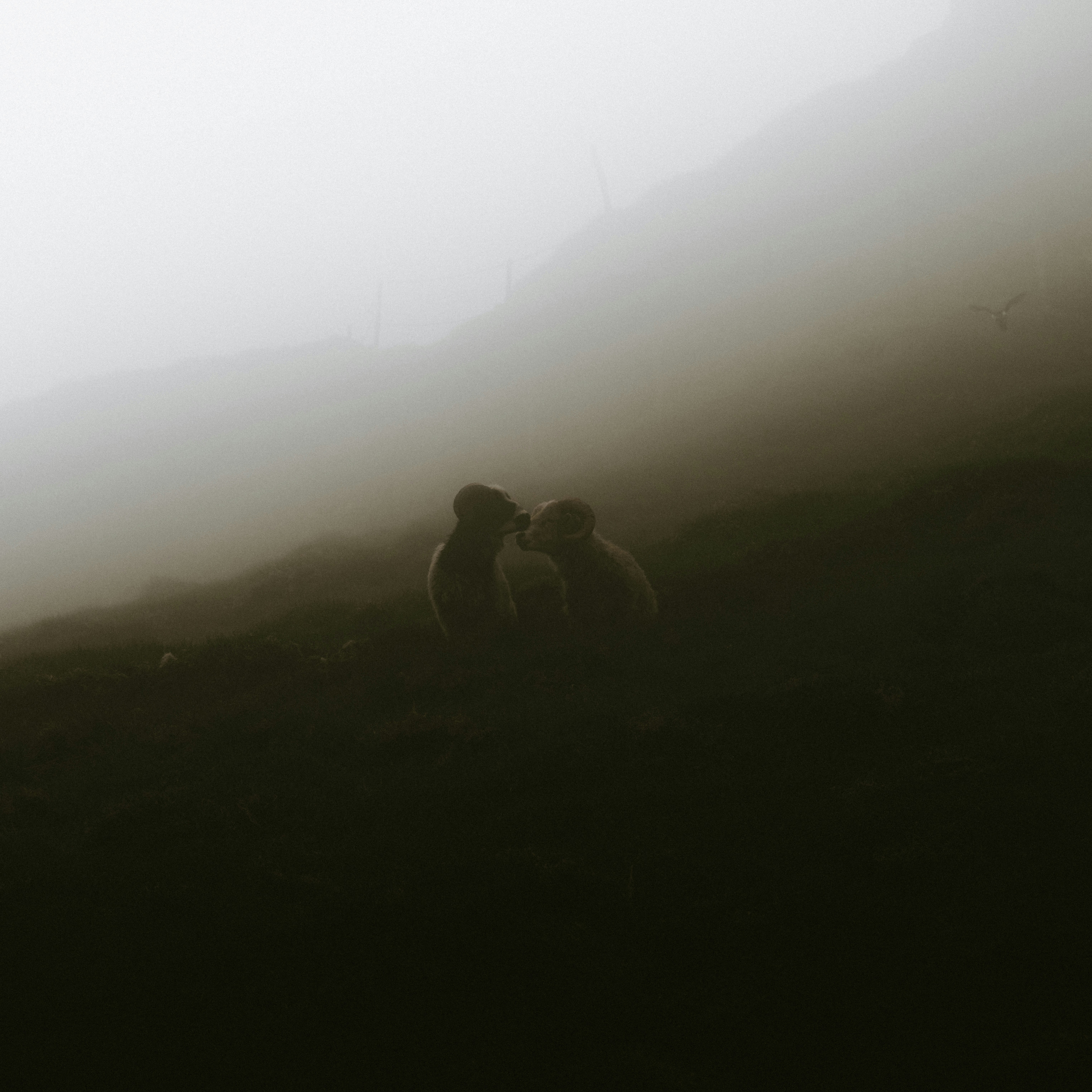 Photo by anniespratt