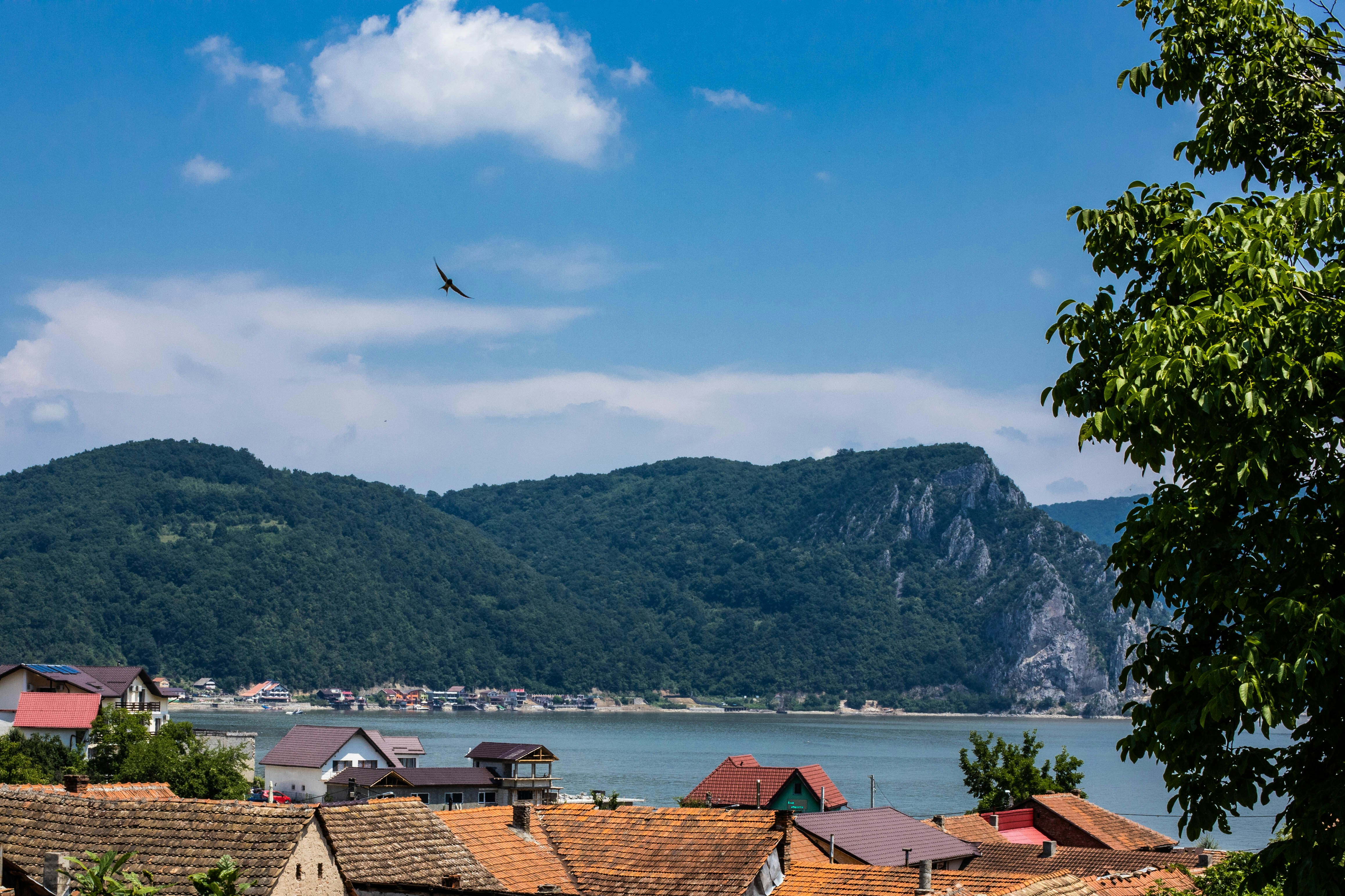 Terrace View Pictures Download Free Images On Unsplash