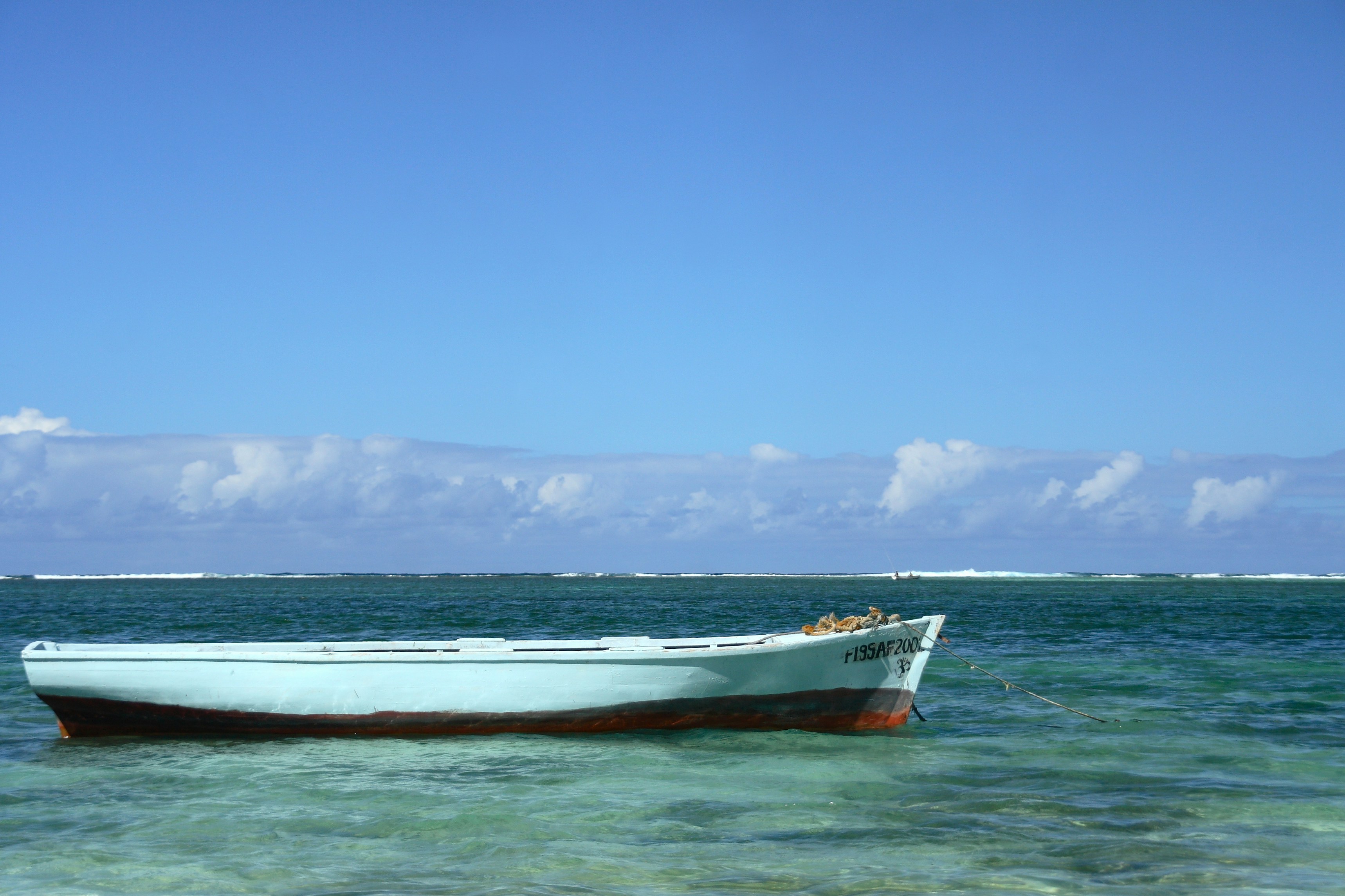 Photo by shaunmcreatives