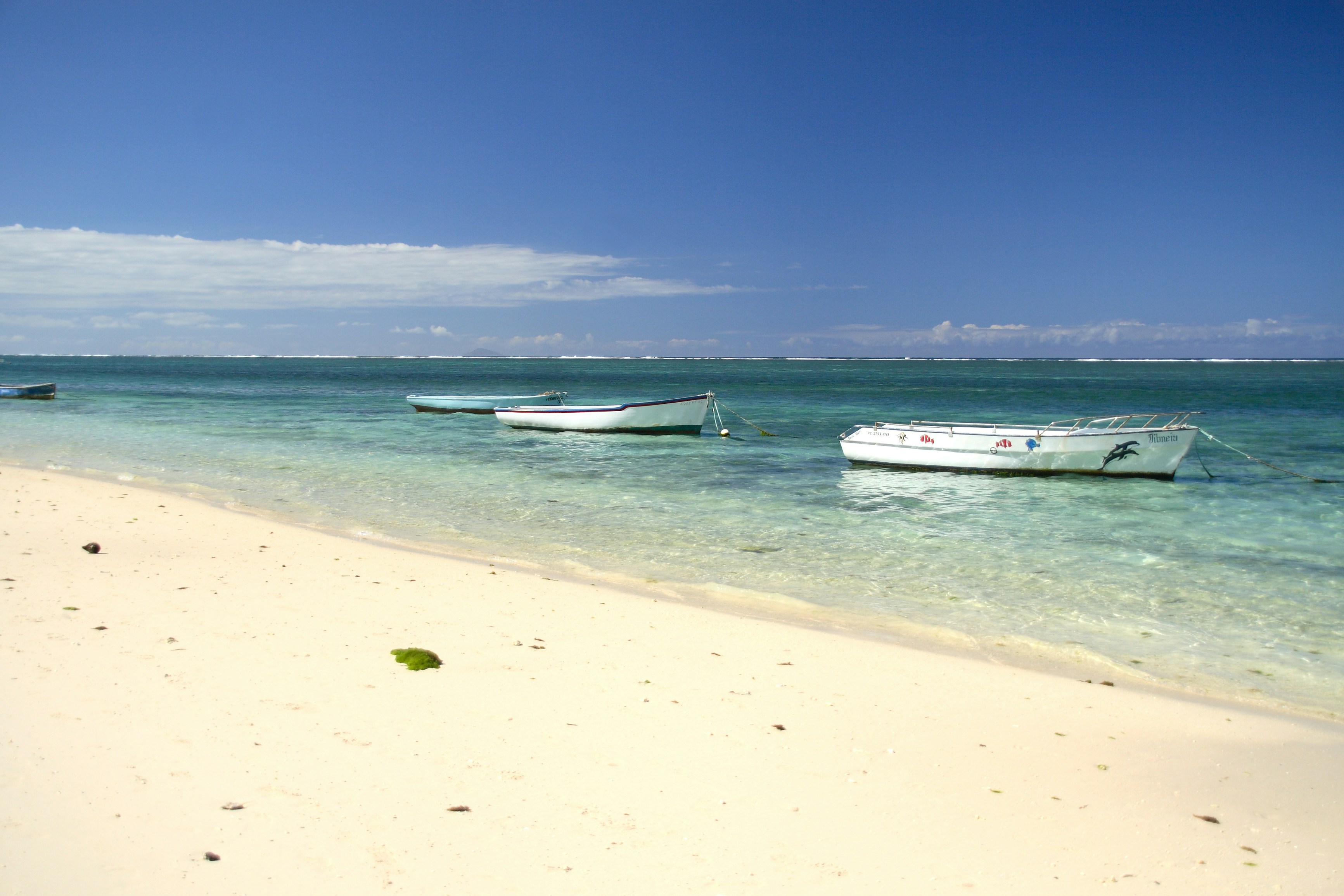 Photo by shaunmcreatives