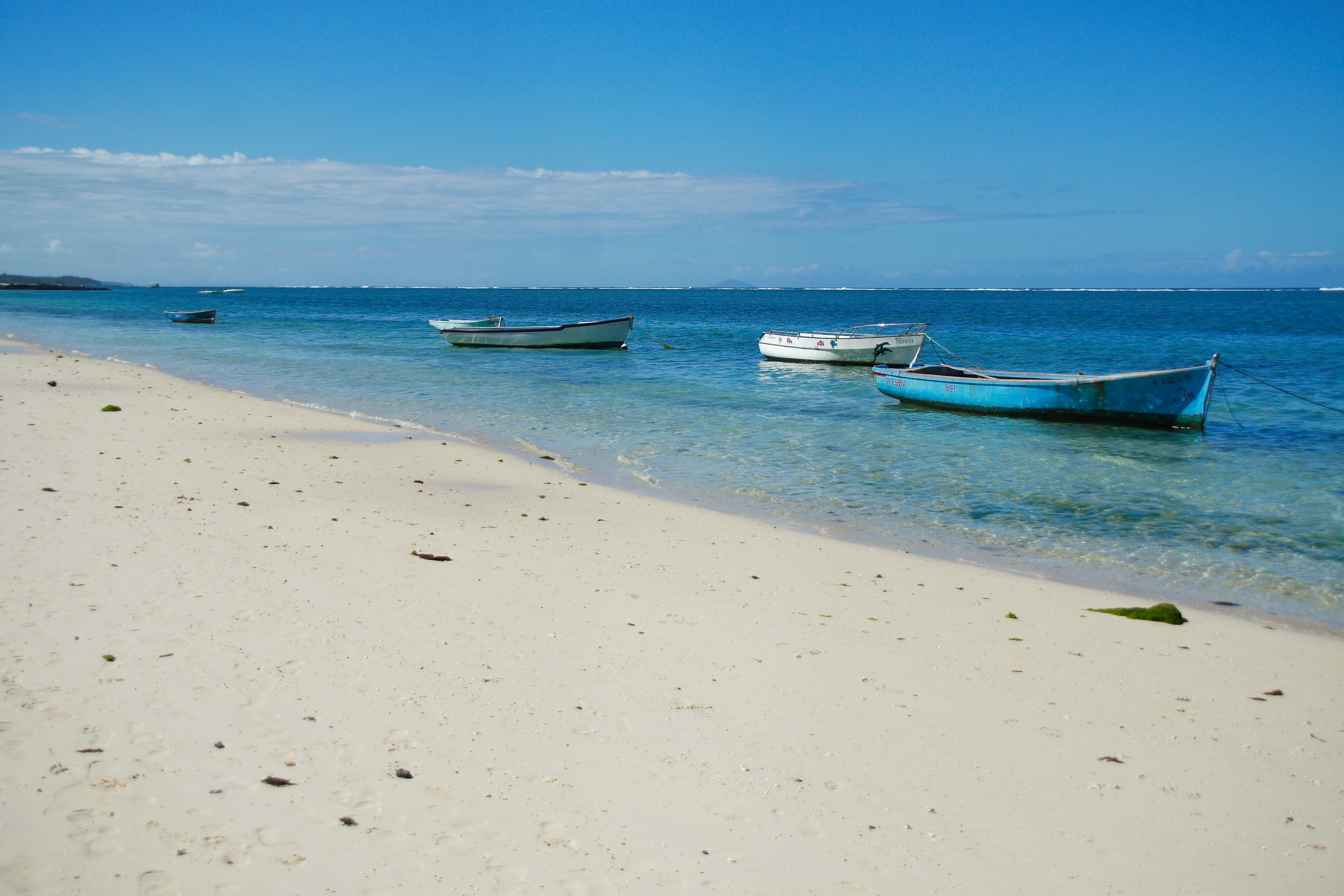 Photo by shaunmcreatives