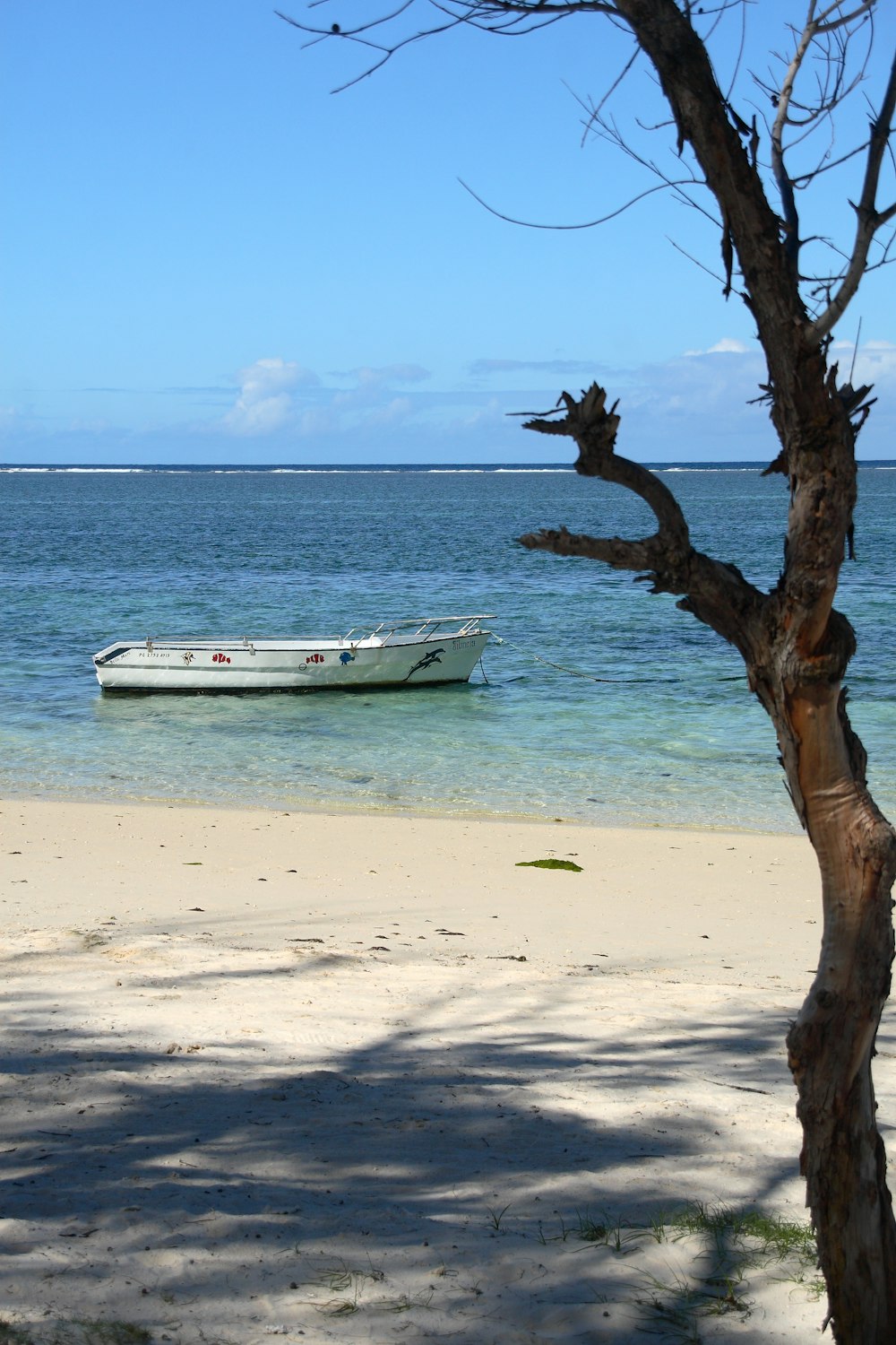 white boat in body of water during daytime