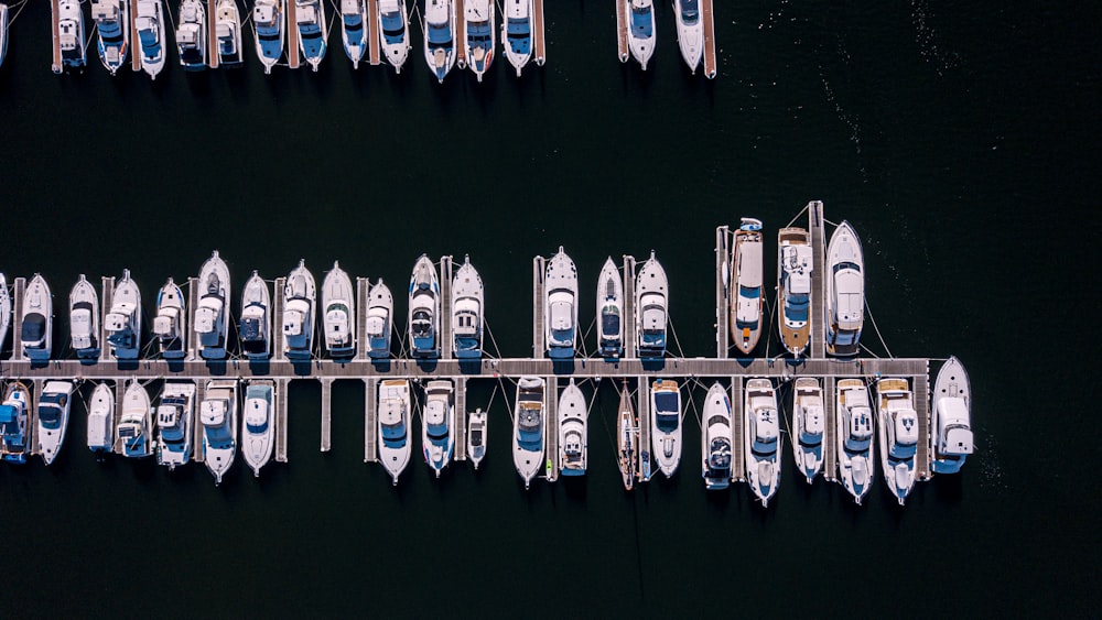 boats at boatyard