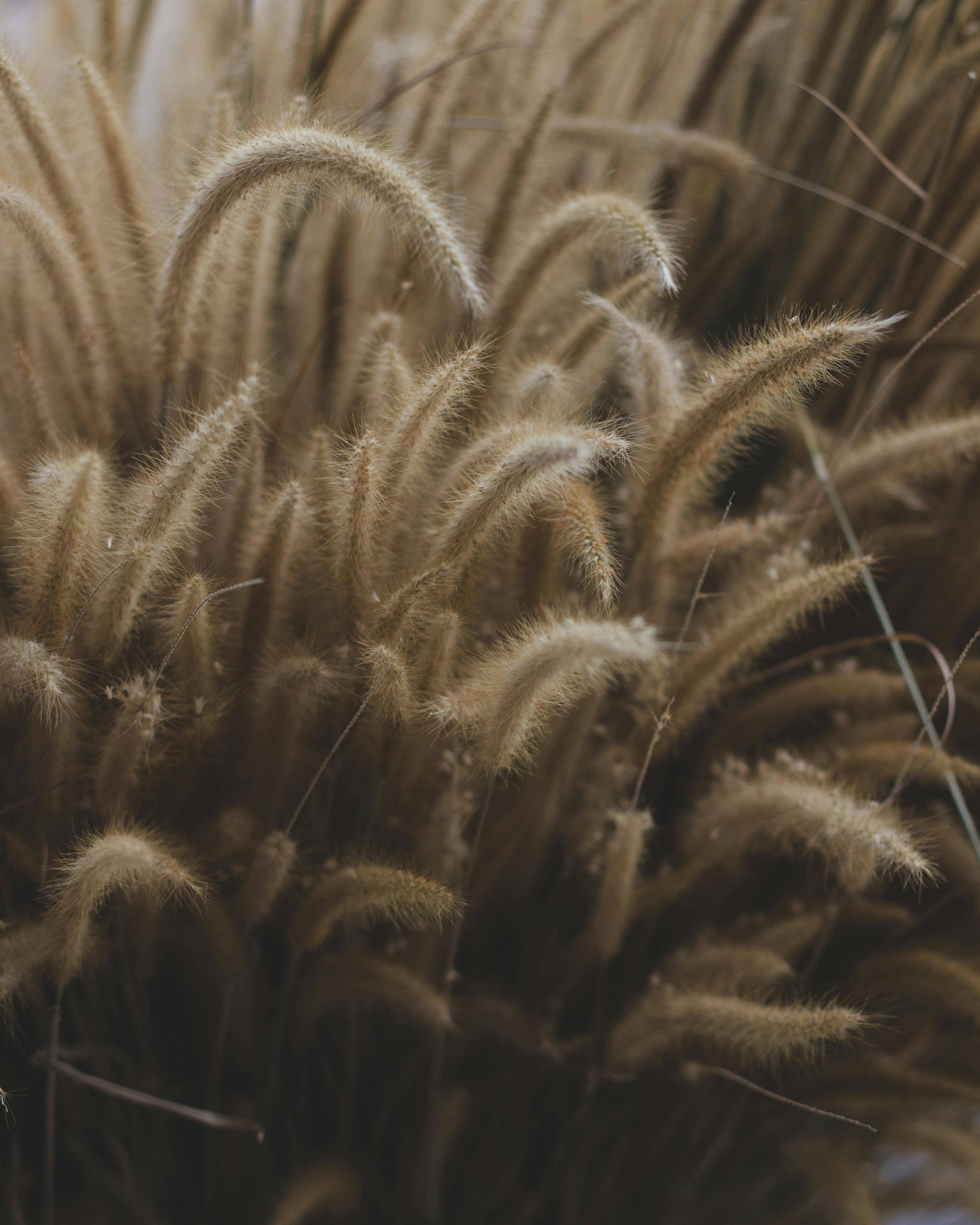 Photo by zahraaprilita