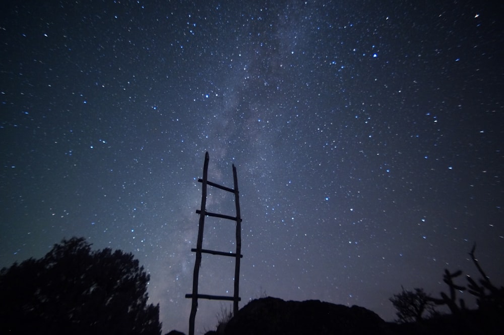 silhouette of trees showing stars at night time