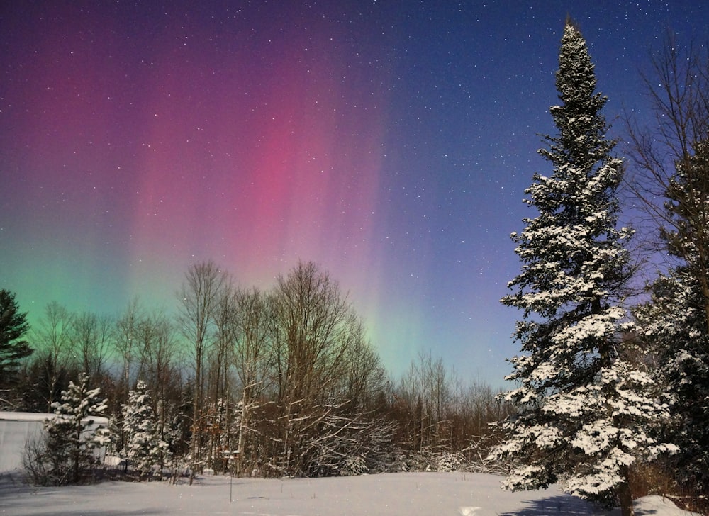 Northern Lights at night