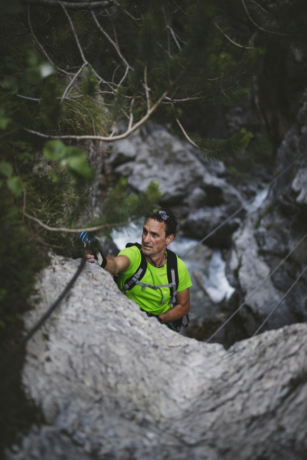 man near tree