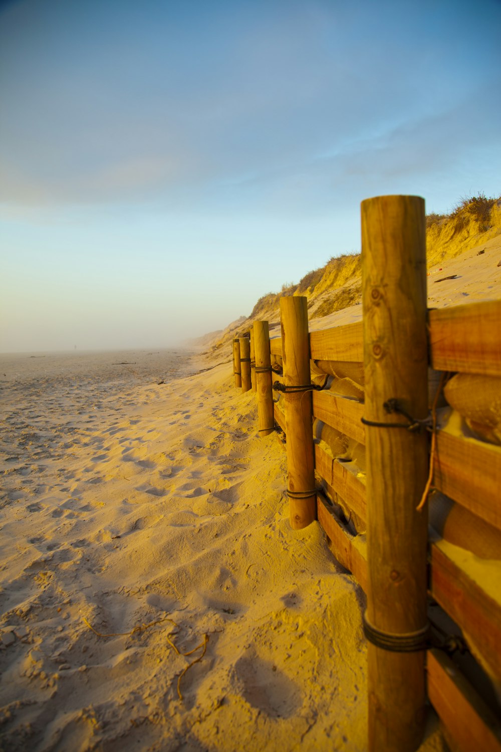 brown wooden fence during daytime