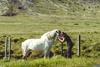A serene moment between a participant and a gentle palomino horse under soft morning light in a peaceful paddock.
