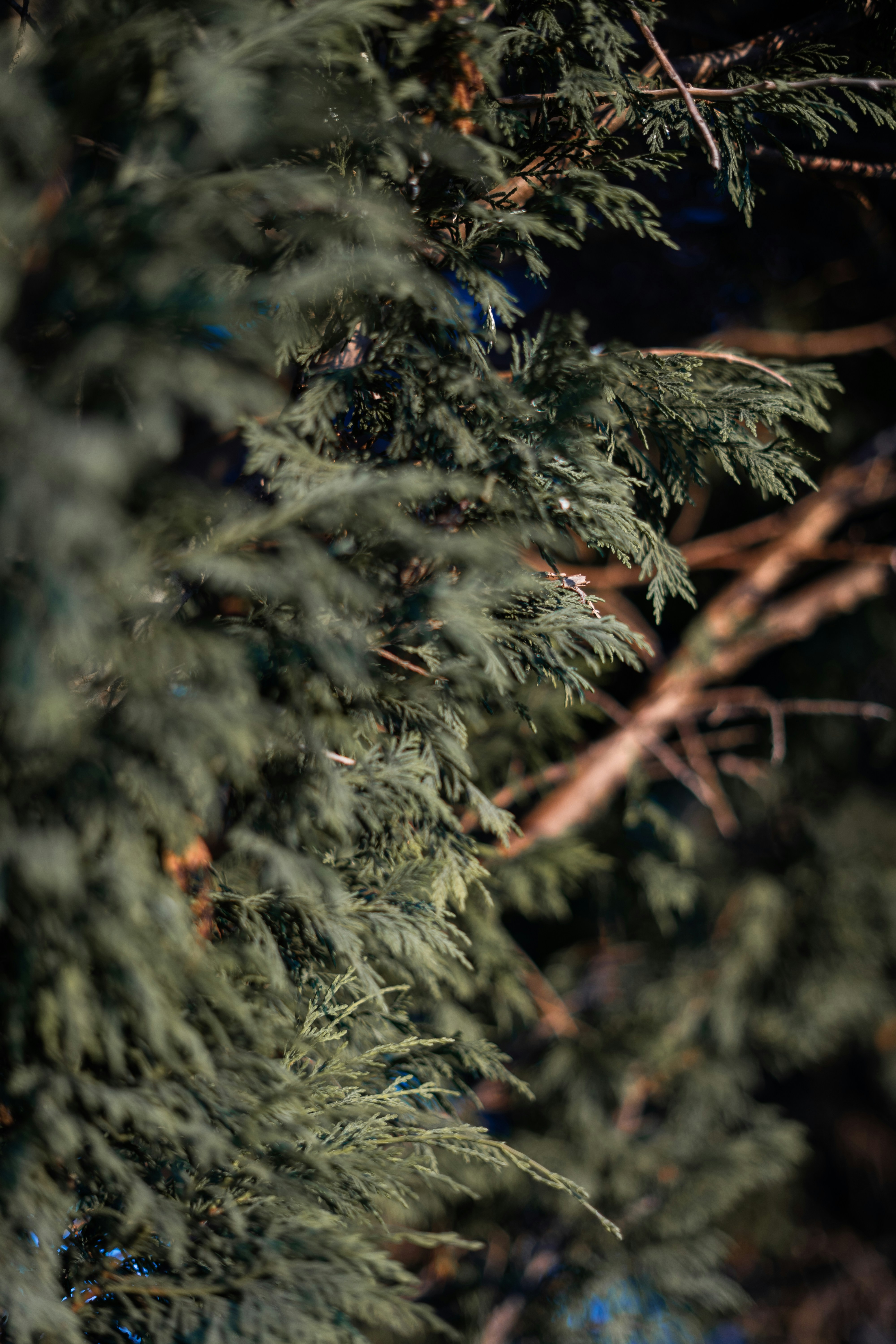 Photo by walterrandlehoff