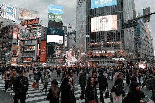 photo-1562168672-2f95346451c9?q=85&w=500&h=500&fit=crop Mundo