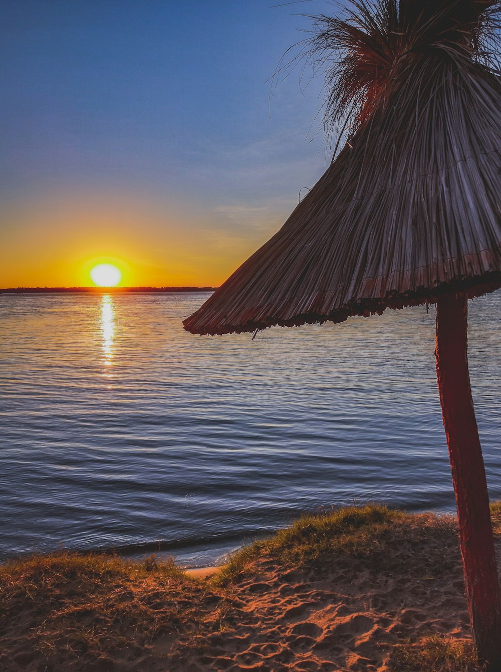 golden hour photography of body of water