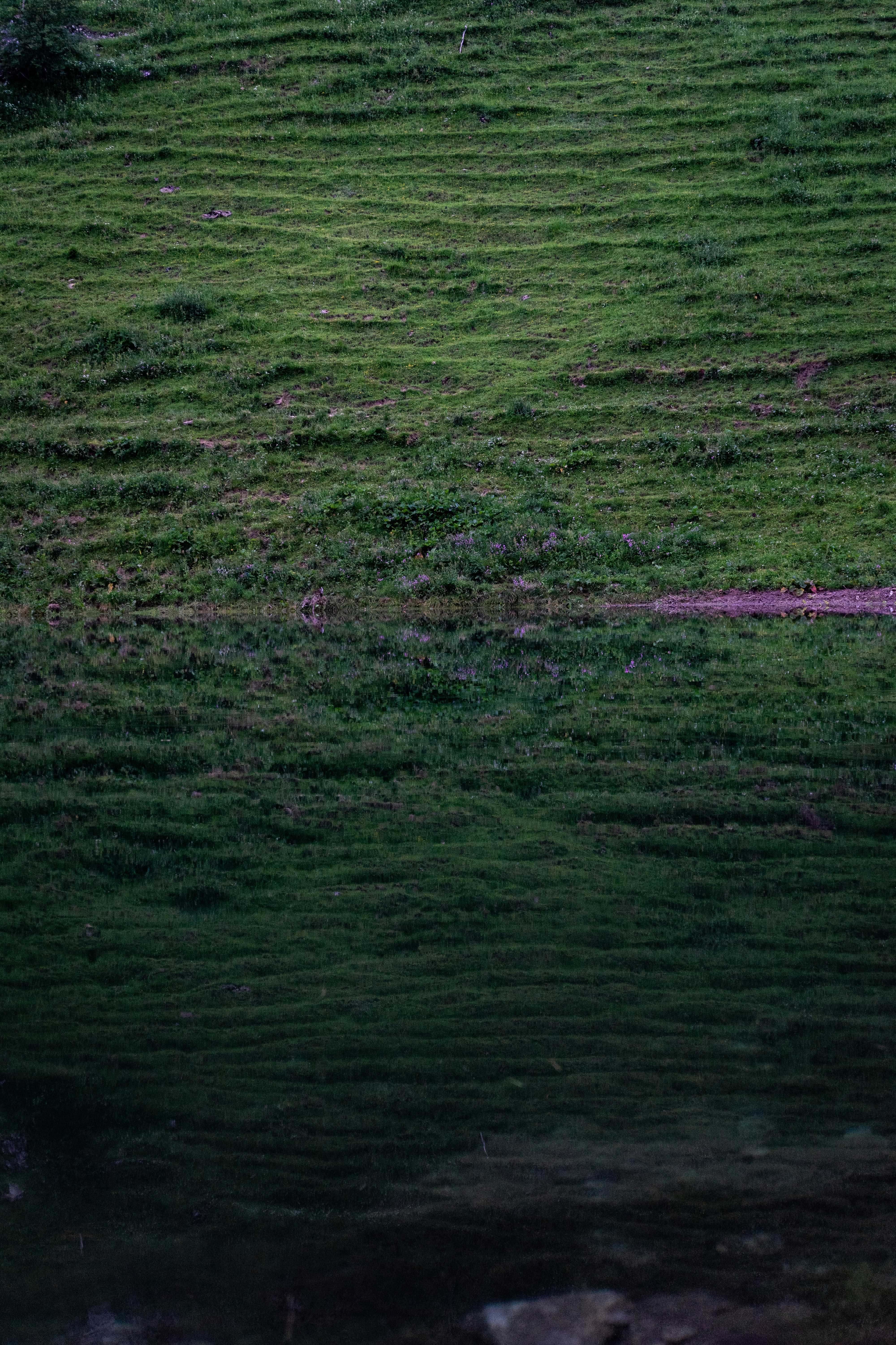 Photo by theverticalstory