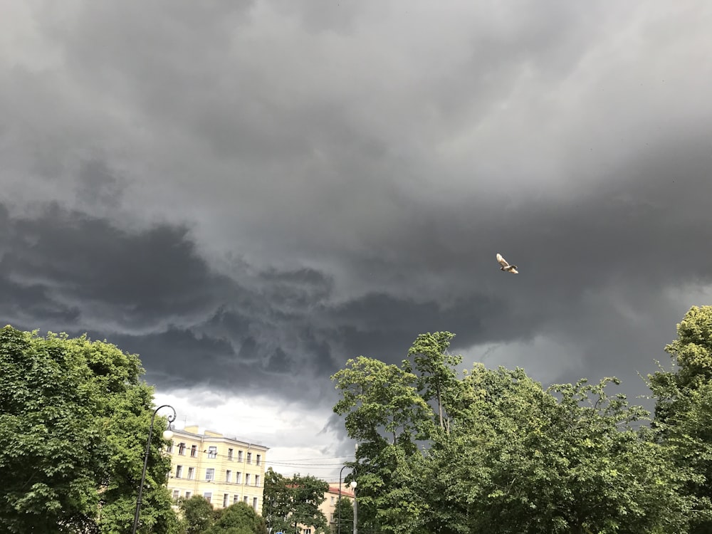 building and trees under heavy clouds