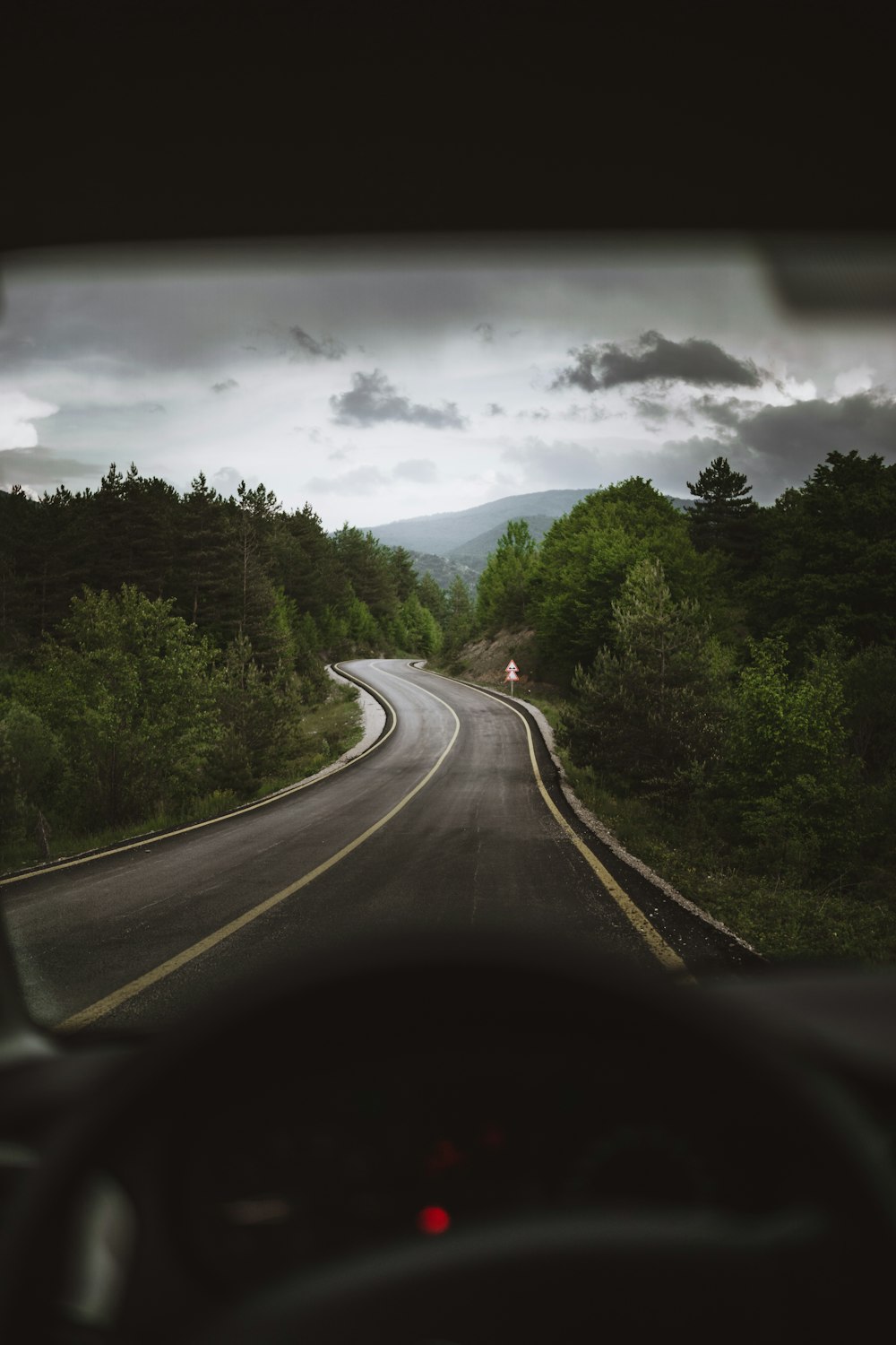 curved road surrounded by trees