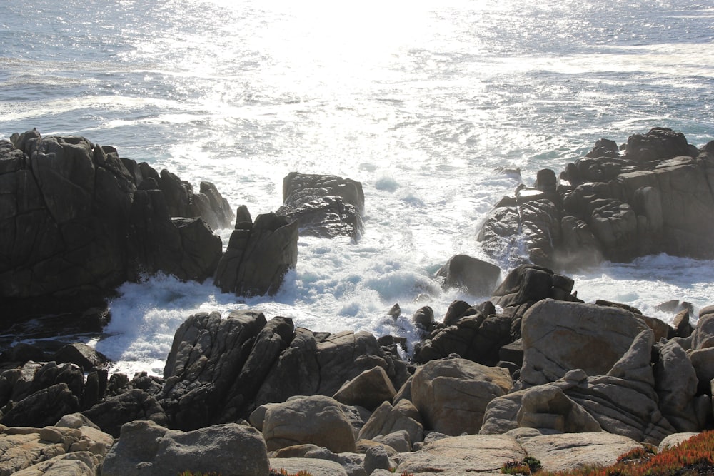 rocks surrounded with water