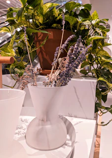 An elegant display of preserved lavender and eucalyptus in a glass dome, perfect for lasting charm.