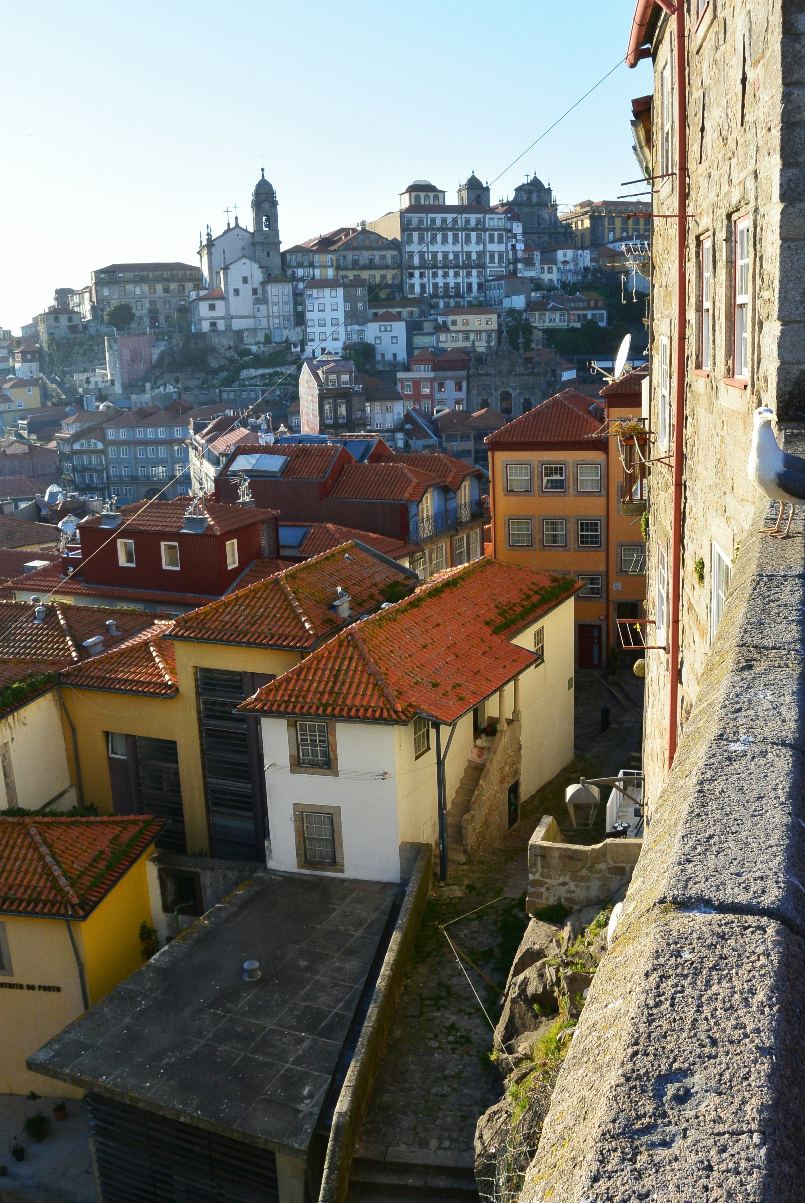 Photo by bertrand1212