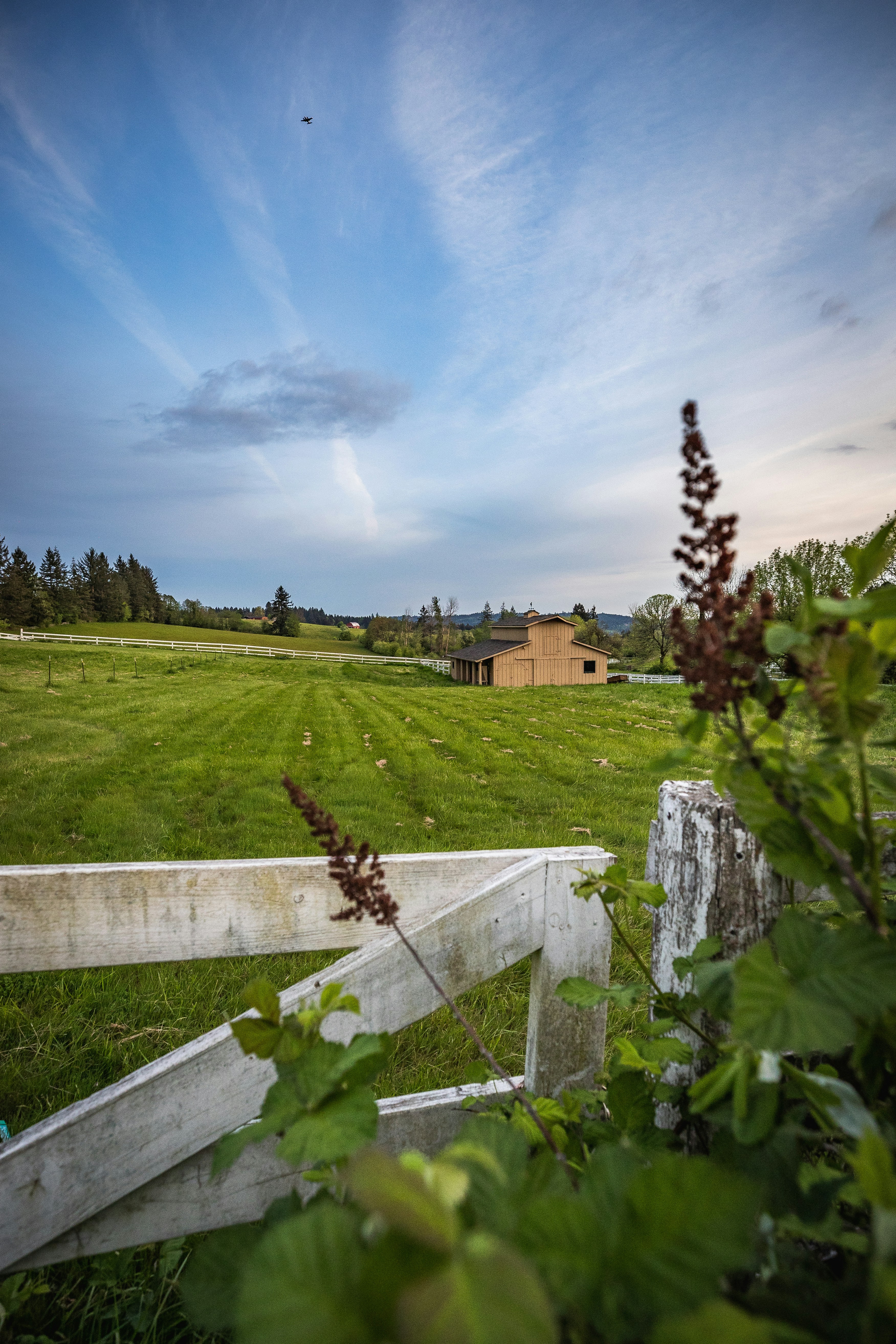 brown house in green field under blue and white skies