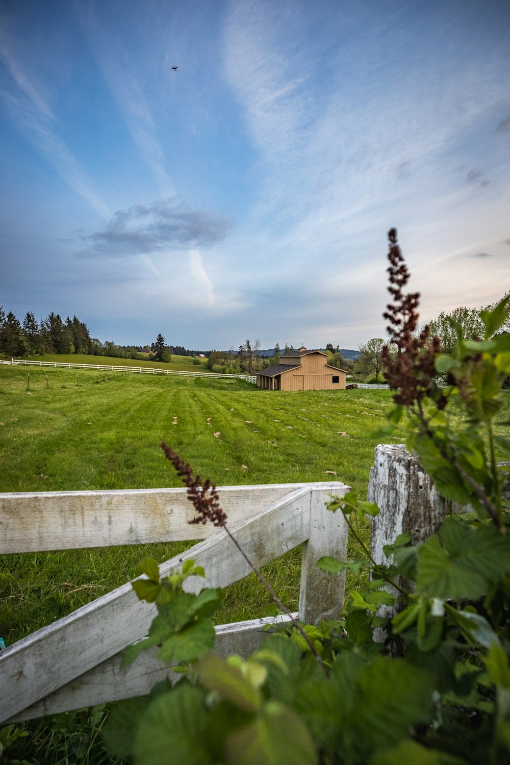 brown house in green field under blue and white skies