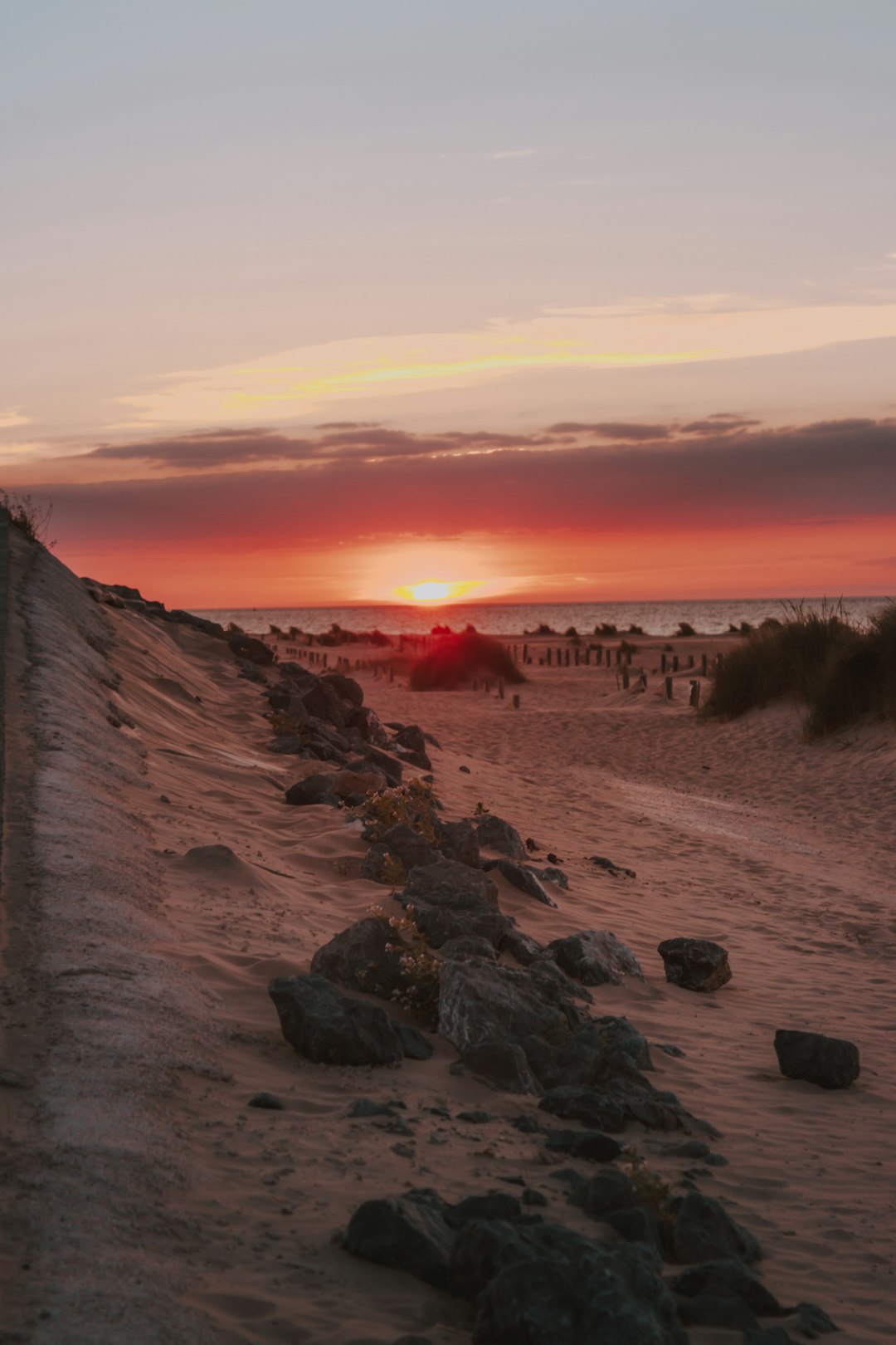 people near seashore at golden hour