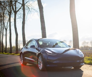 parked blue coupe beside trees during daytime