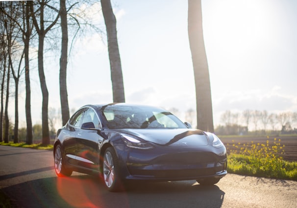 parked blue coupe beside trees during daytime