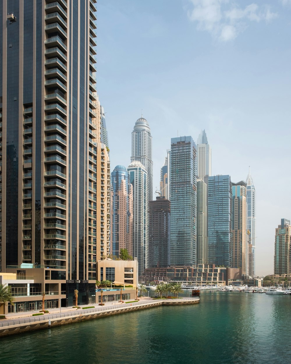 body of water beside high-rise buildings