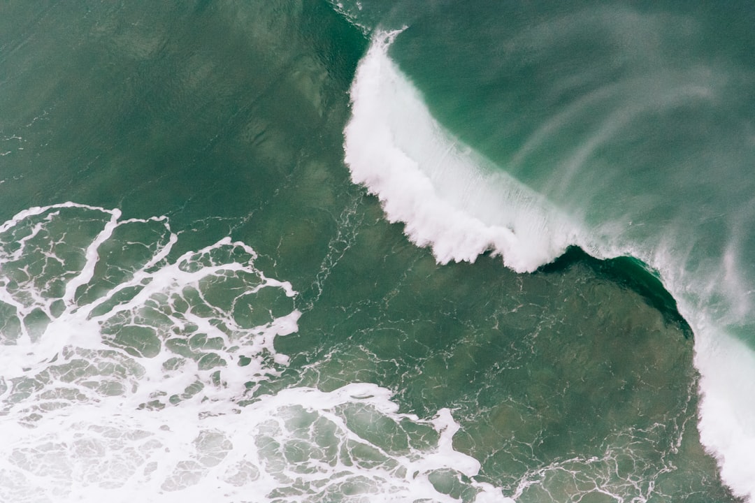 ocean wave at daytime