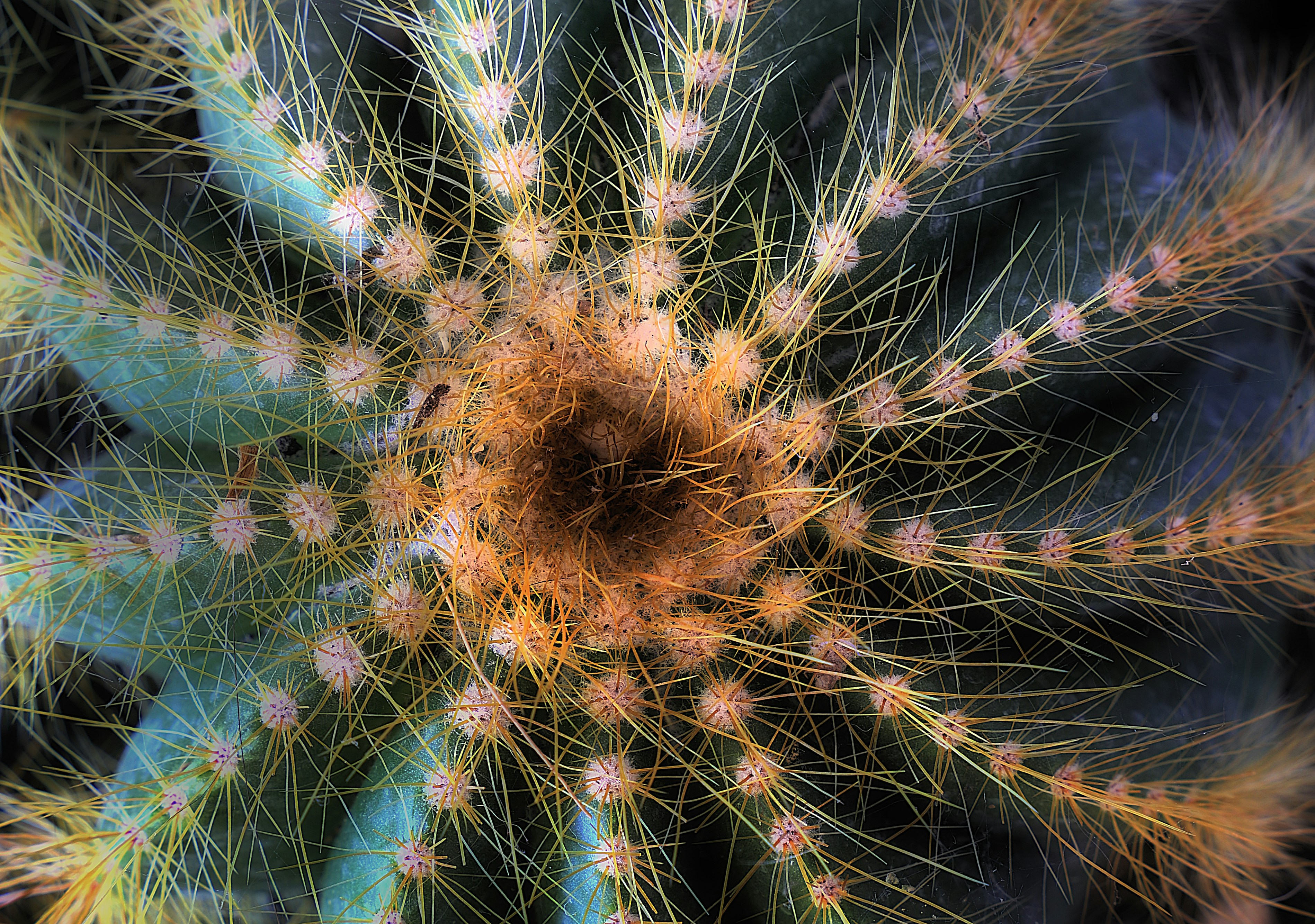 Photo by arizonanthony