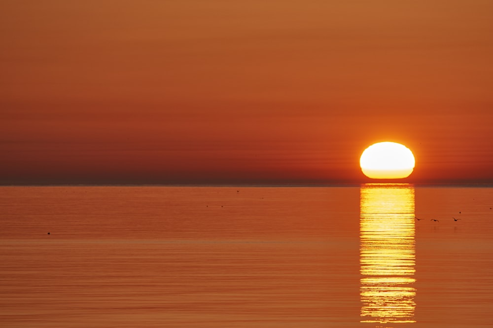 the sun is setting over the ocean with birds flying around