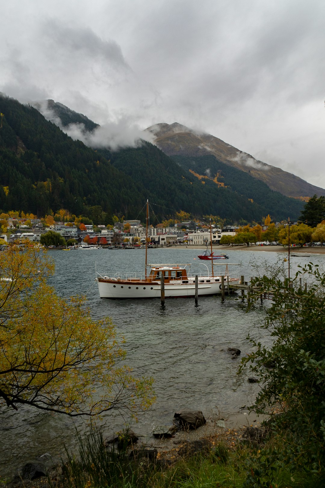 white boat in body of water near plants