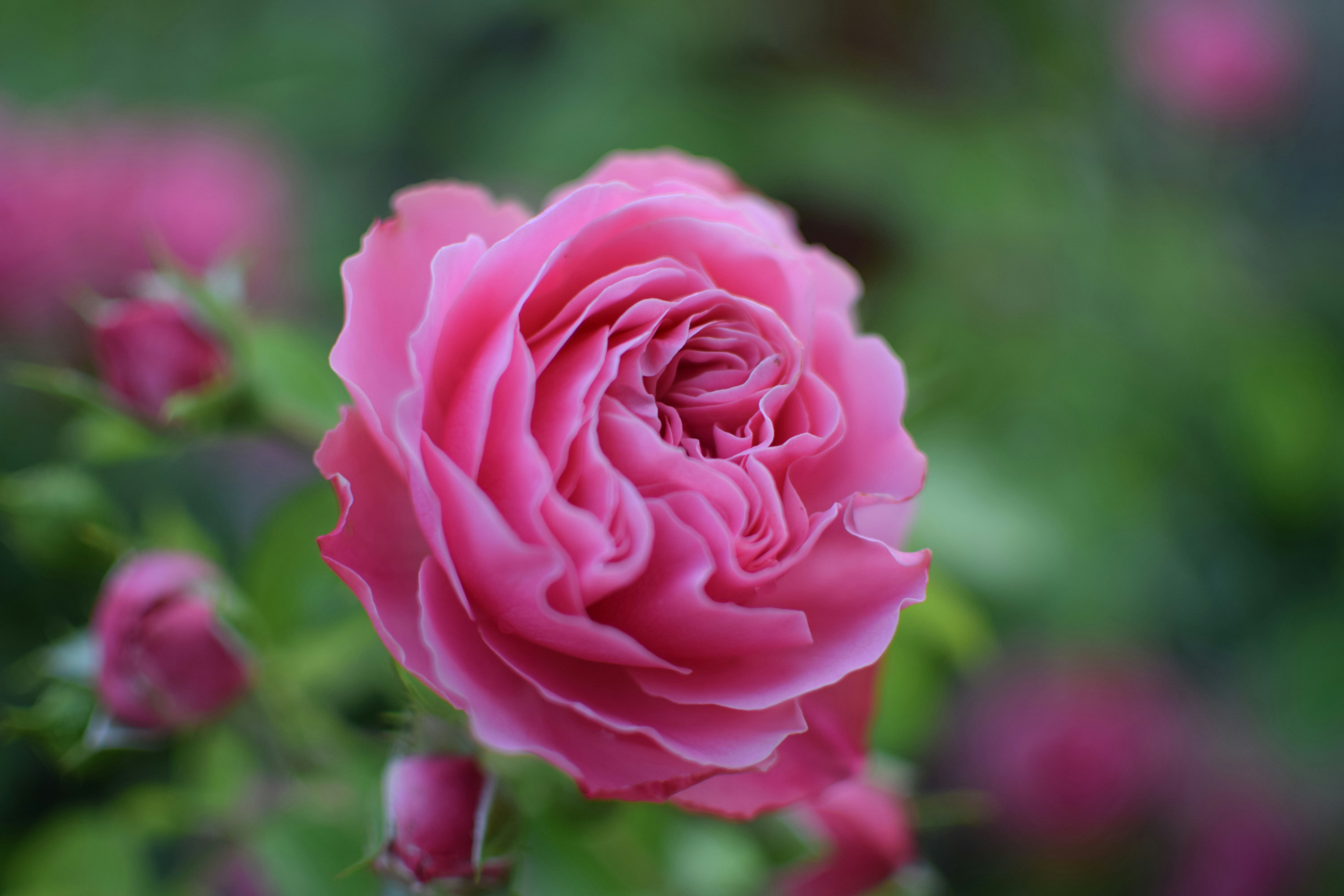 Photo by flashlightlukas