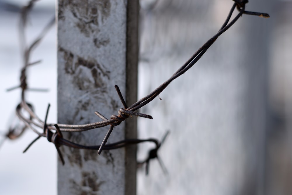 black barb wire