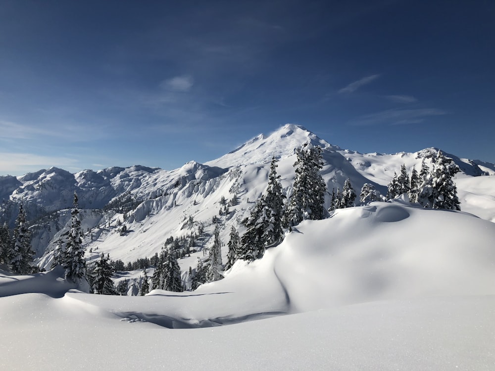 montaña cubierta de nieve bajo el cielo azul