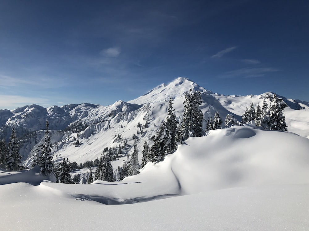 snow capped mountain under blue sky